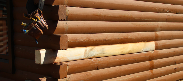 Log Home Damage Repair  Parmele,  North Carolina