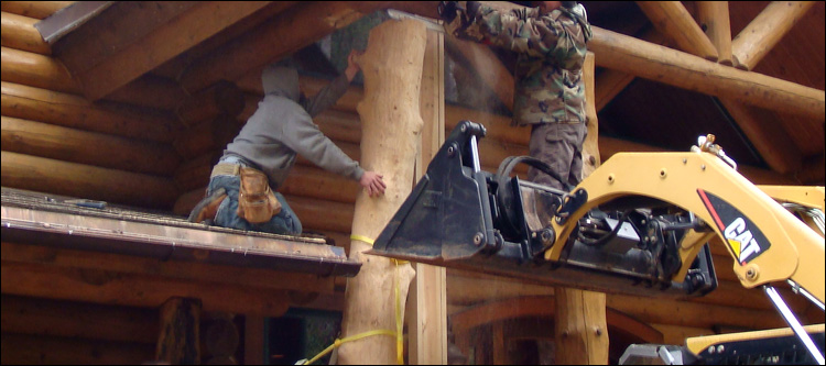Log Home Log Replacement  Hassell,  North Carolina