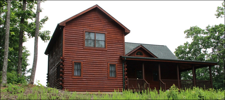 Professional Log Home Borate Application  Martin County,  North Carolina